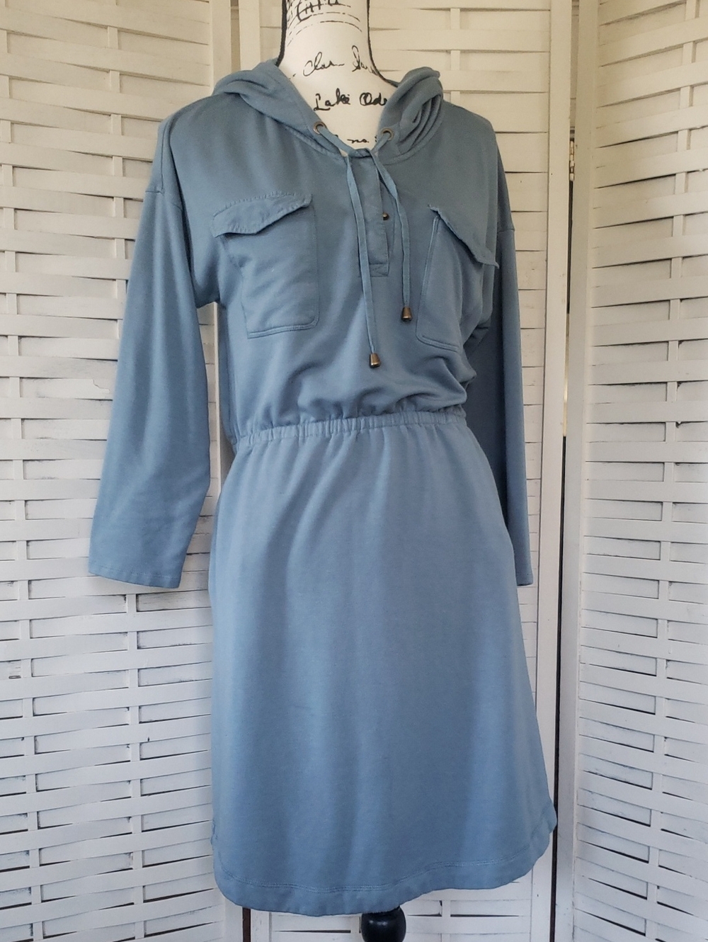 Soft Surroundings Casual Blue Hooded Women’s Dress Size MP